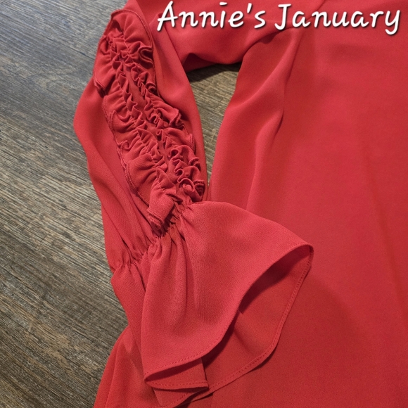 ZARA Women's Pre-owned Ruffles Collar Blouse(Red, US M / EUR M) - Picture 6 of 10